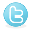 Twitter icon